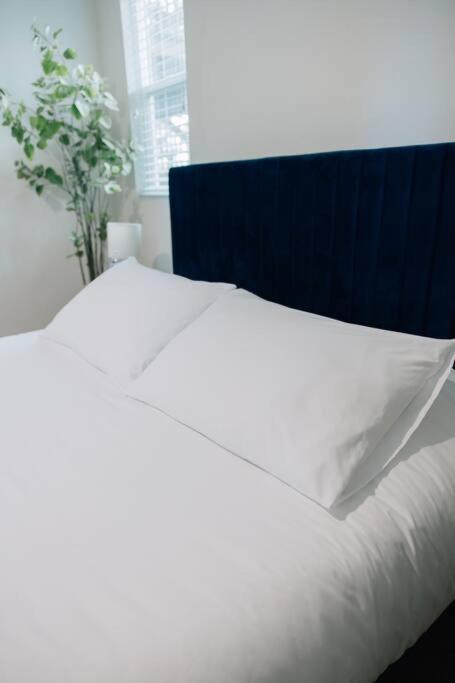 Cozy Apartment A Few Steps From The Capitol سالت ليك سيتي المظهر الخارجي الصورة