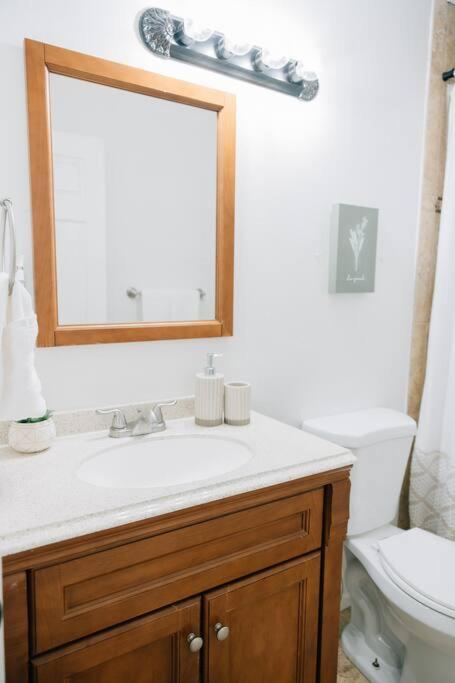 Cozy Apartment A Few Steps From The Capitol سالت ليك سيتي المظهر الخارجي الصورة